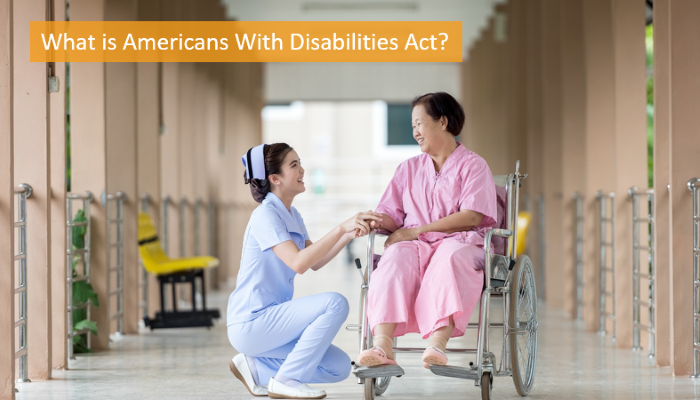 what is Americans With Disabilities Act