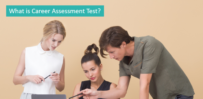 what-is-career-assessment-test