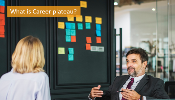 what-is-career-plateau