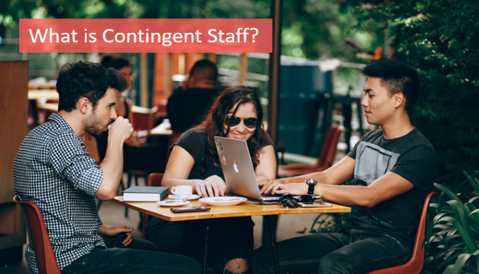 what-is-contingent-staff
