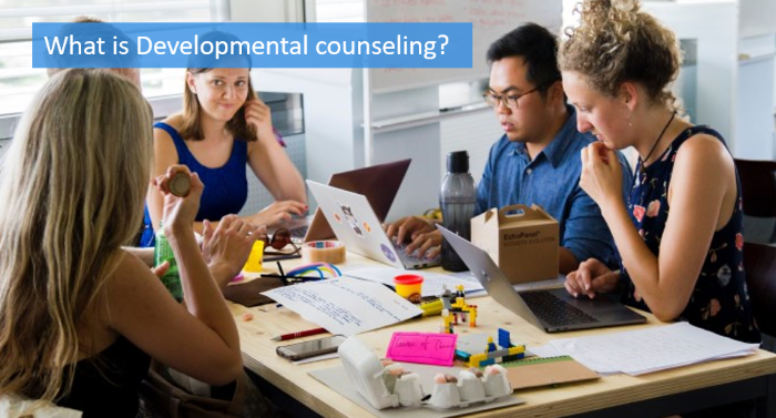 what-is-developmental-counseling