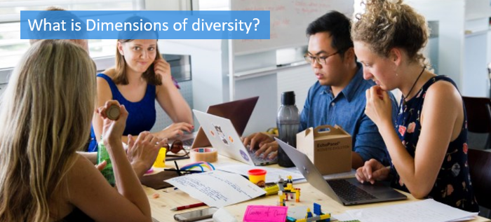 what-is-dimensions-of-diversity