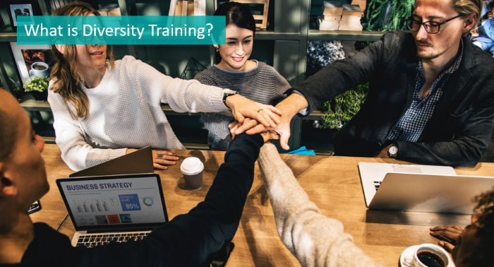 what-is-diversity-training
