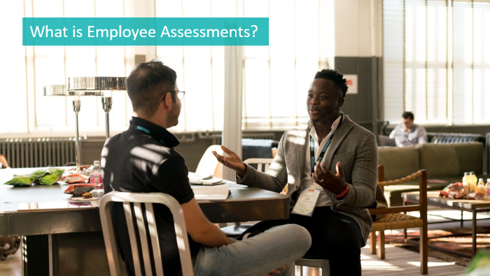 what-is-employee-assessments