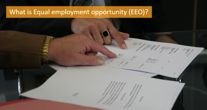 what-is-equal-employment-opportunity-eeo