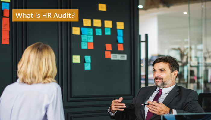 what-is-hr-audit