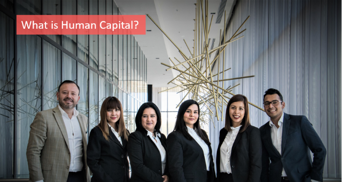 what-is-human-capital