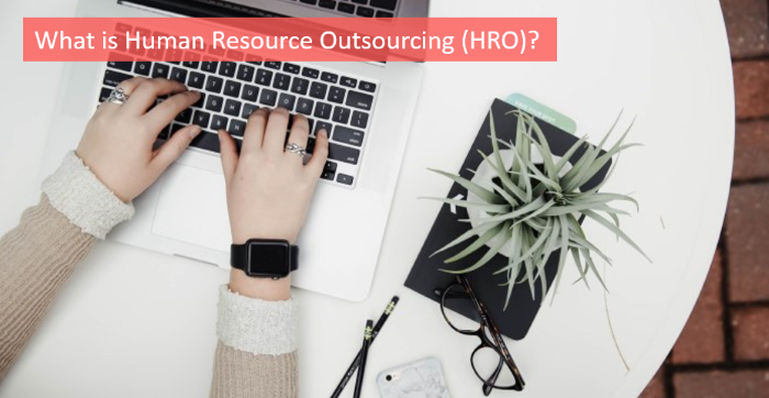 what-is-human-resource-outsourcing-hro