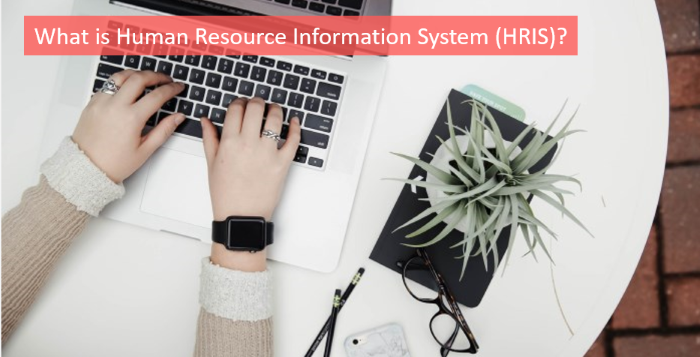 what-is-human-resource-information-system-hris