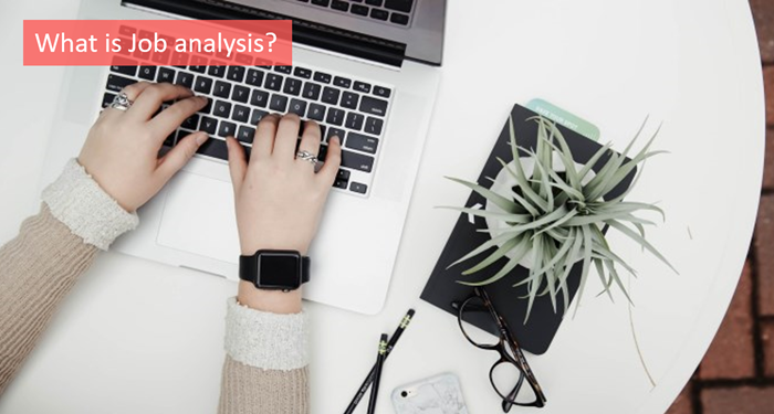 what-is-job-analysis
