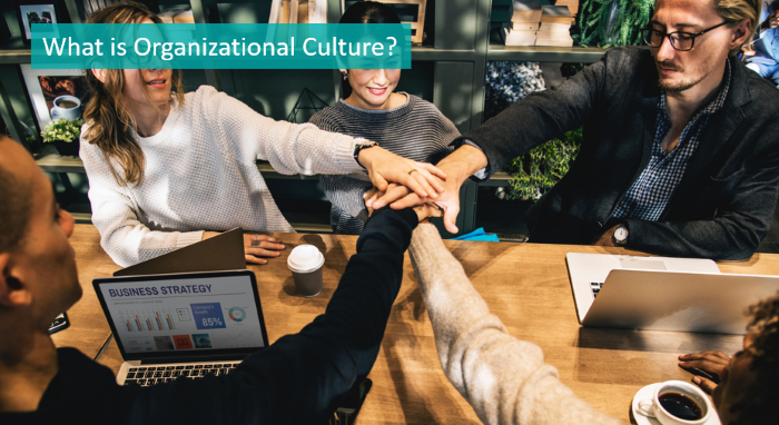 what-is-organizational-culture