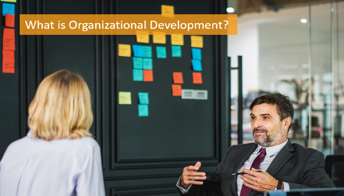 what-is-organizational-development