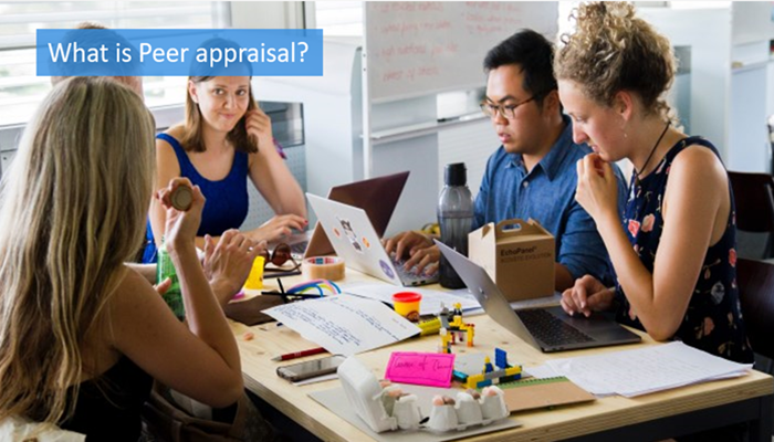 what-is-peer-appraisal