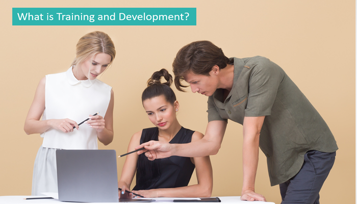 what-is-training-and-development