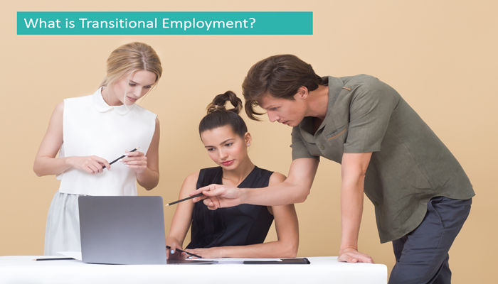 what-is-transitional-employment